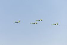 ASUDA ASMANYMYZYŇ DEMIR BÜRGÜTLERI