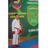 Harby gullukçylaryň arasynda karatedo boýunça sport ýaryşy geçirildi