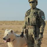 Harby gullukçylaryň ebedi hemrasy