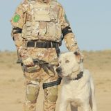 Harby gullukçylaryň ebedi hemrasy