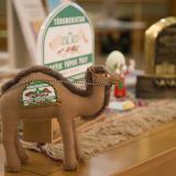 Meýdan mertleri söýýär