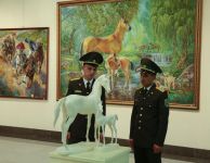 Türkmen bedewiniň baýramyna bagyşlanan sergi