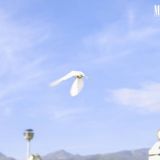 Ýaş watançylaryň durmuşynda «soňky jaň»