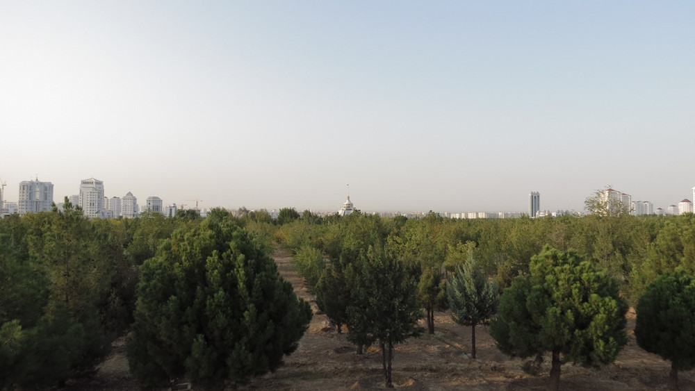 3 million düýp nahal ekiler