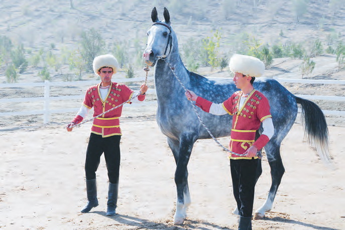 Behişdi bedewleriň watany Türkmenistanyň atçylyk düzümi ösdürilýär