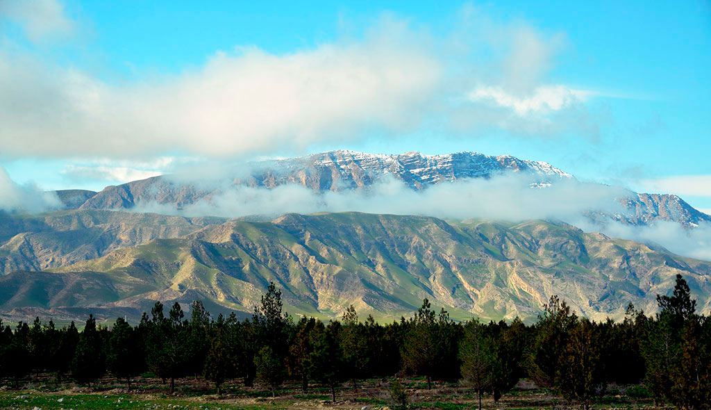 Daşky gurşawy goramak häzirki we geljekki nesiller barada aladadyr