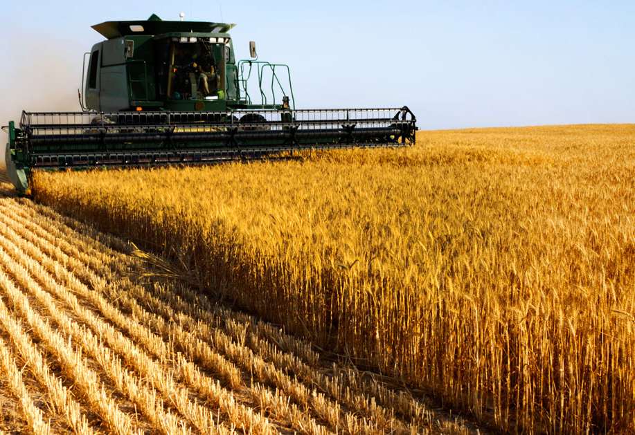 Galla oragynyň ýokary depgini