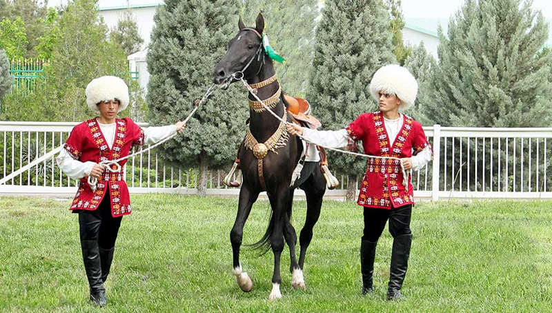 Halkara gözellik bäsleşiginiň ikinji tapgyry