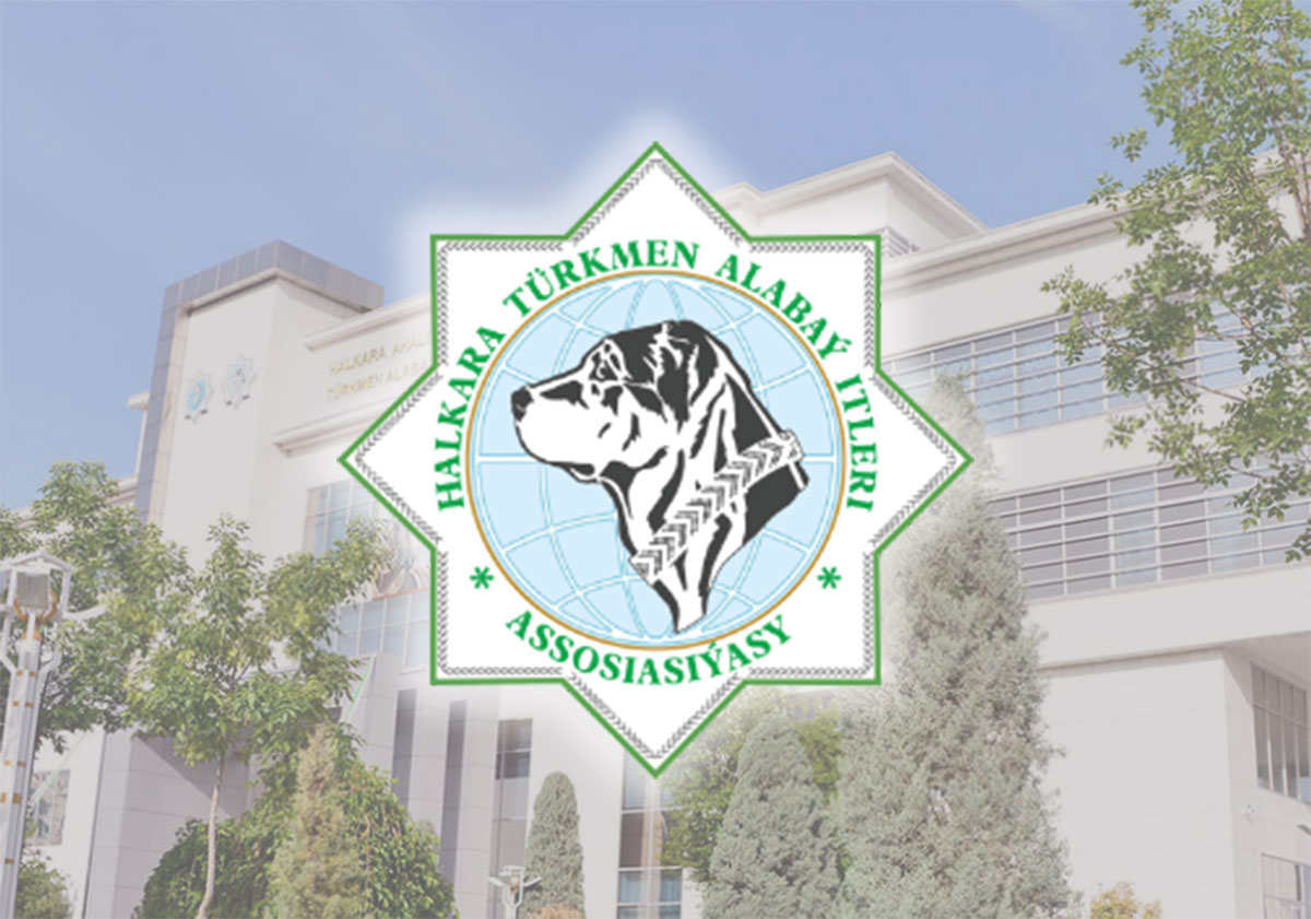 Halkara «Türkmen alabaý itleri» assosiasiýasynyň ikinji mejlisi