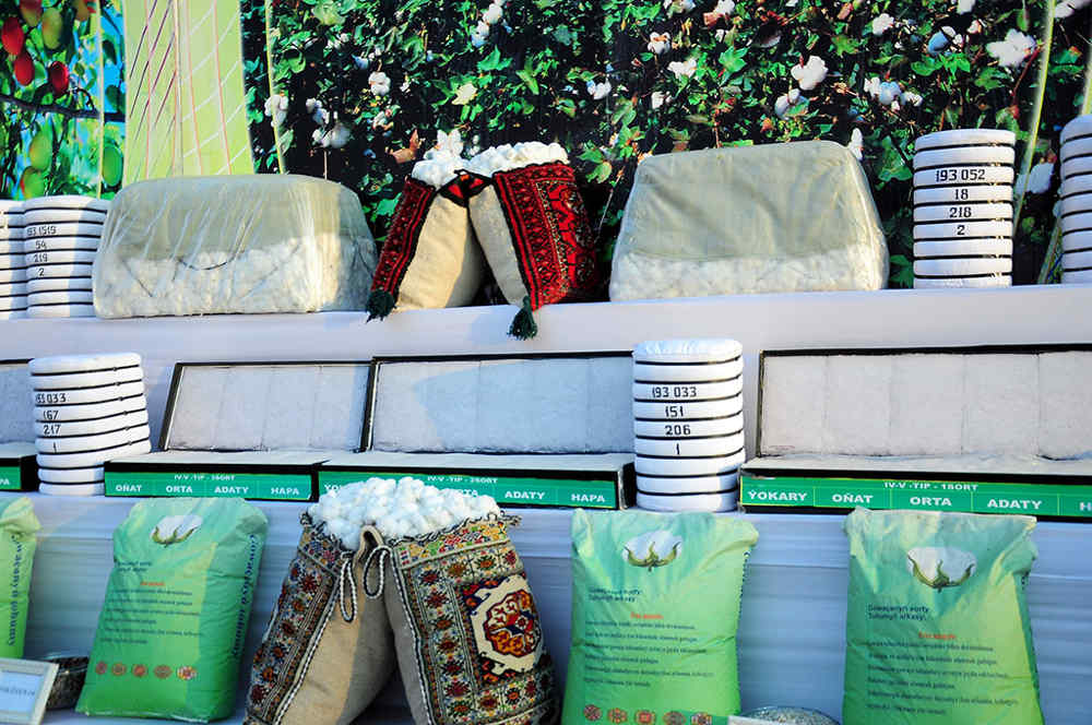 Hasyl toýy mynasybetli geçiriljek çäreler