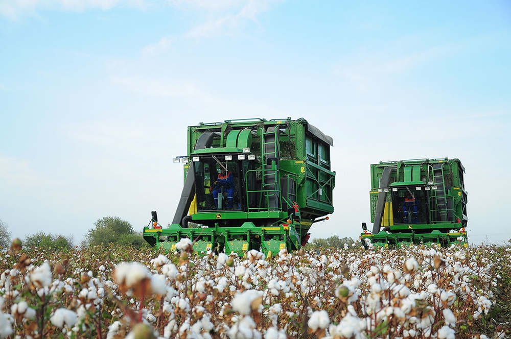 Lebap welaýatynyň pagtaçylarynyň zähmet üstünligi