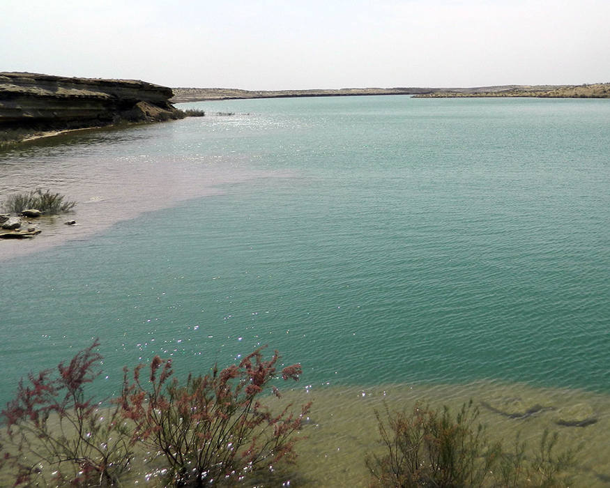 Milli Liderimiz «Altyn asyr» Türkmen kölüniň ýagdaýyny öwrenmegi tabşyrdy