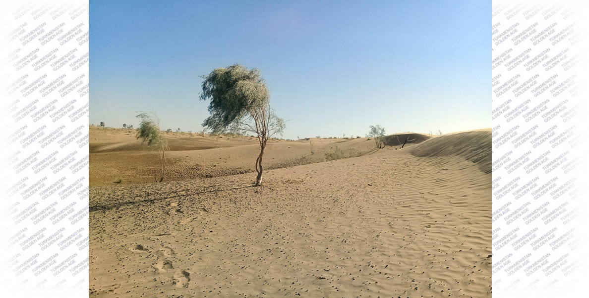 «Orta guşaklyk Turan çöllügi» boýunça resminama (nominasiýa dosýesi) toplumy taýýarlanýar