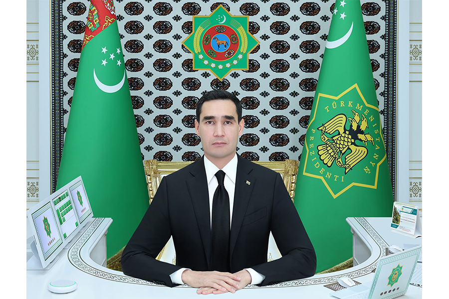 Sanly ulgam arkaly iş maslahaty geçirildi