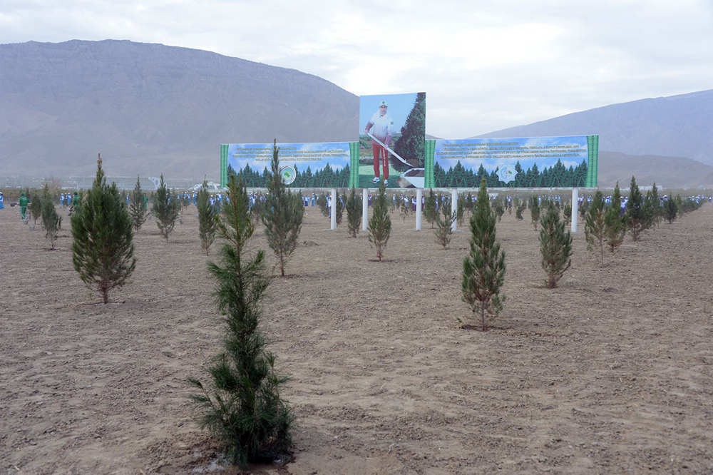 Şu gün Diýarymyzda ählihalk bag ekmek dabarasy geçirildi