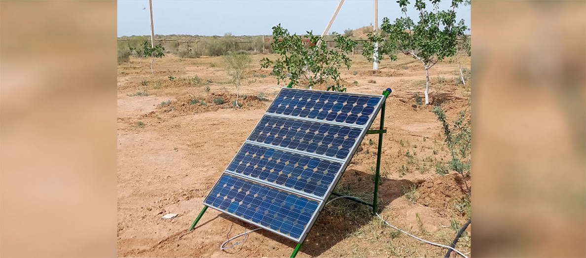 Türkmen alymlaryna süýşýän çägeleri berkitmegiň netijeli usullaryny kesgitleýän enjam gowşuryldy