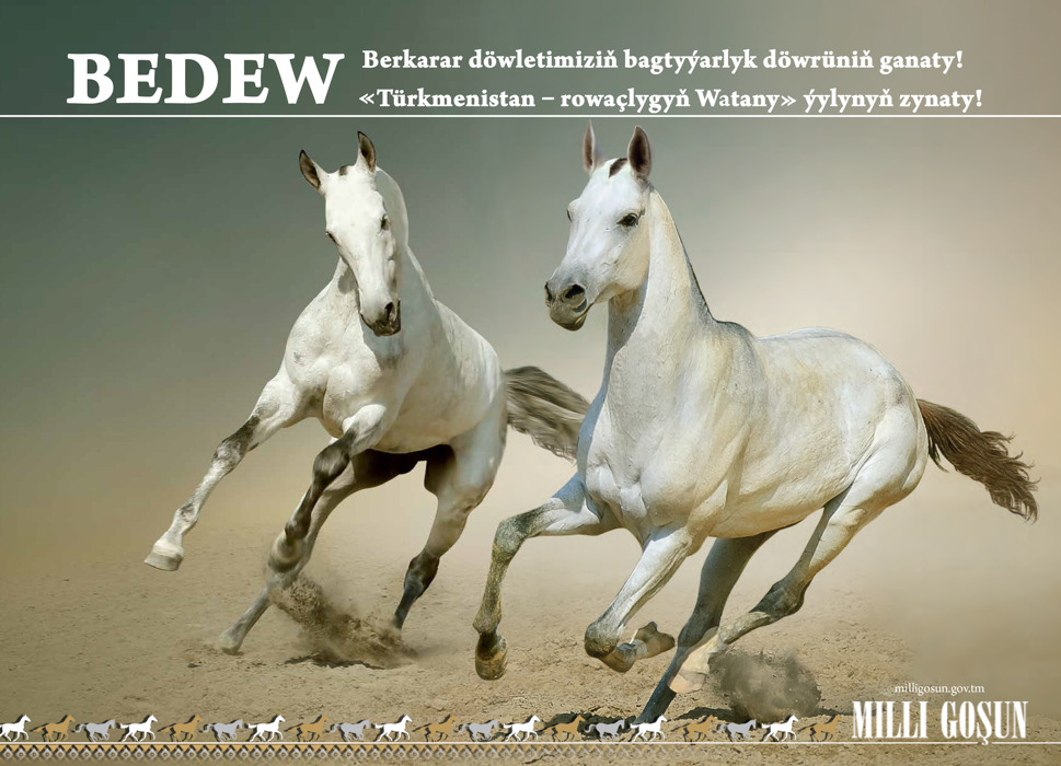 Türkmen bedewiniň milli baýramyna