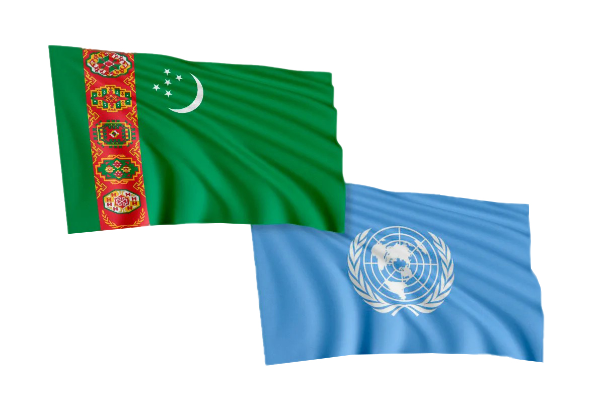 Türkmenistan – BMG: işjeň hyzmatdaşlyk