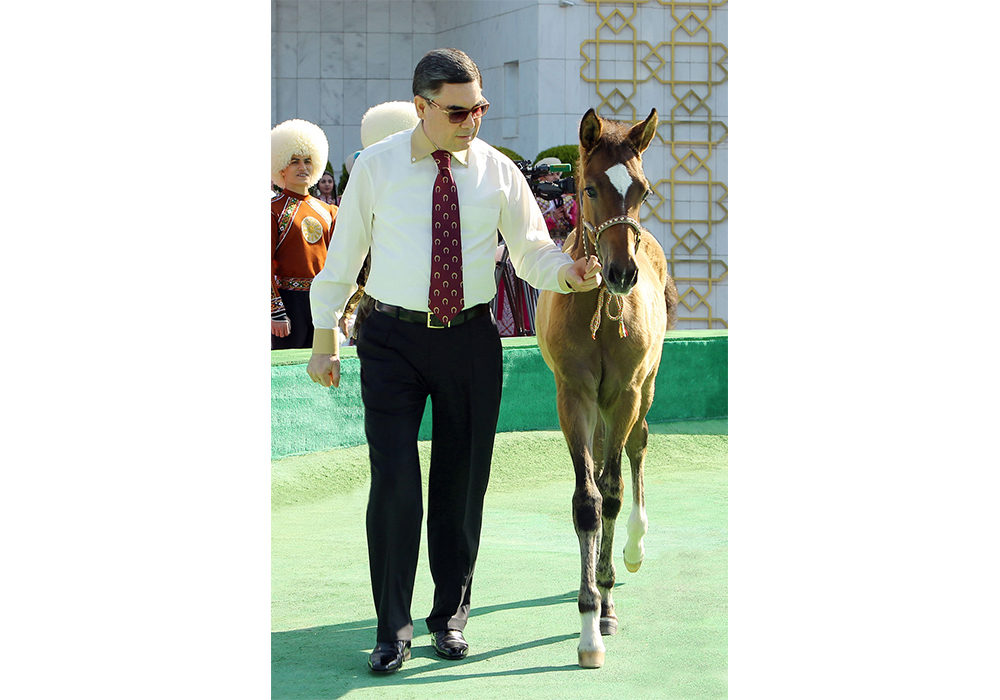 Türkmenistanyň Prezidenti Türkmen bedewiniň milli baýramy mynasybetli geçirilýän dabaralara gatnaşdy