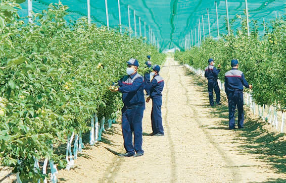 Welaýatlary toplumlaýyn ösdürmek maksady bilen iş tejribesi alşyldy