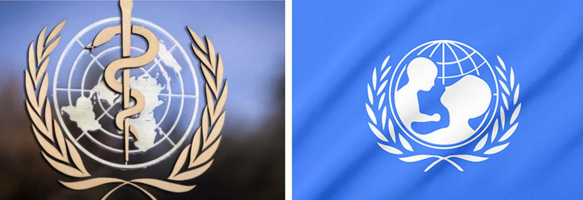 Ýokanç keselleriň öňüni almak boýunça onlaýn-duşuşyk