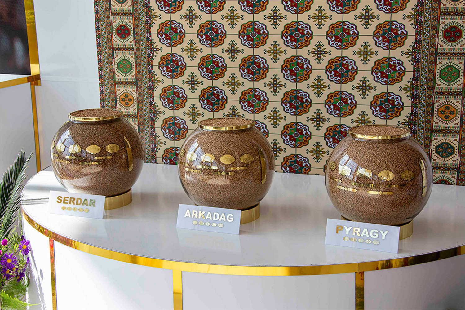 Ýurdumyzda ak bugdaýyň täze sortlary döredildi