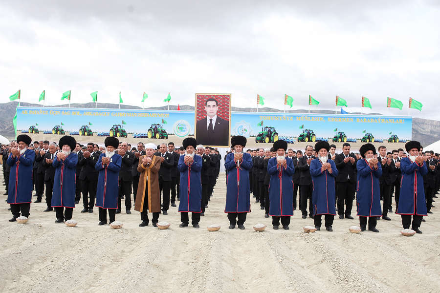 Ýurdumyzda gowaça ekişine girişildi