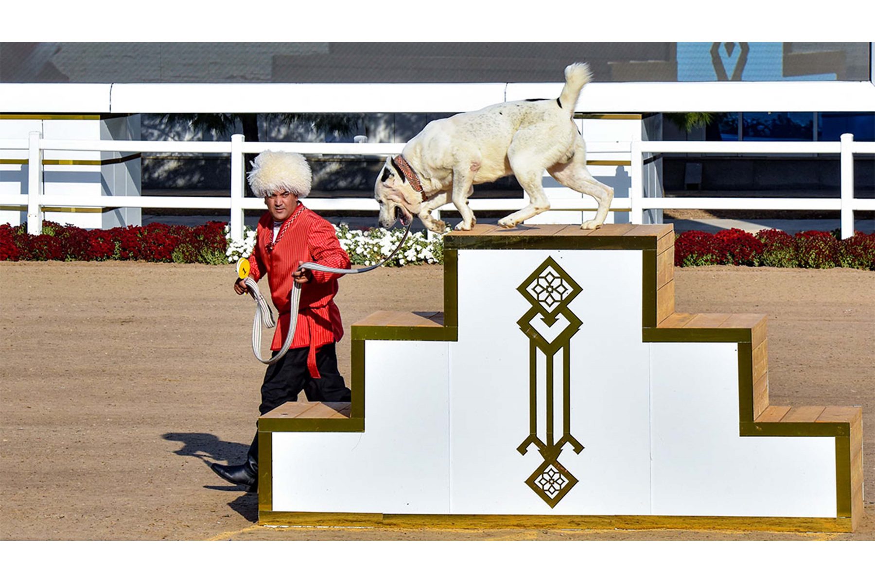 Ýurdumyzda Türkmen alabaýynyň baýramy bellenildi
