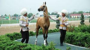 25-nji aprelde Türkmen bedewiniň milli baýramy mynasybetli ahalteke atlarynyň halkara gözellik bäsleşigi geçiriler