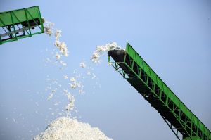 Ahal welaýaty pagta taýýarlamak baradaky borçnamany üstünlikli ýerine ýetirdi