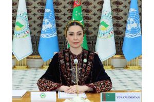 Arkadag şäherinde halkara maslahat geçirildi