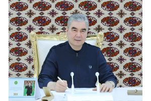 Arkadag şäherine iş sapary