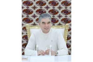 Arkadag şäherine iş sapary