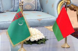 Daşary ýurtly hyzmatdaşlar bilen wideoaragatnaşyk arkaly nobatdaky duşuşyk