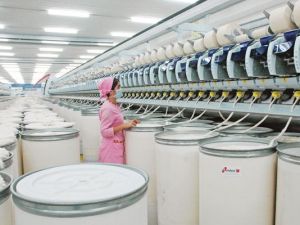 Dokma pudagynyň kärhanalarynyň guramaçylyk-hukuk görnüşi kämilleşdirilýär