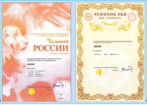 Dünýäde ykrar edilýär türkmen milli alabaýy