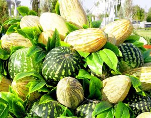 Esger naharhanalaryndaky möwsümleýin naharsanawy