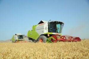 Gallaçylaryň ýokary zähmet üstünligi — azyk bolçulygynyň kepili