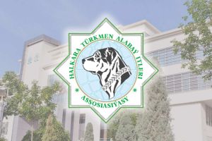 Halkara «Türkmen alabaý itleri» assosiasiýasynyň IV mejlisi