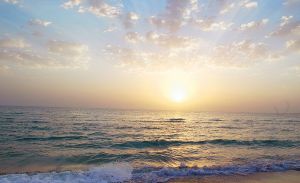 «Hazar deňzi — durnukly ösüş we dolandyryş» atly okuw maslahaty geçiriler