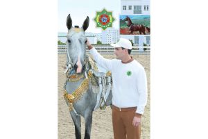 Hormatly Prezidentimiz Türkmen bedewiniň milli baýramy mynasybetli dabaralara gatnaşdy