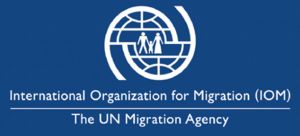 Hünärmenler migrasiýa meselelerini ara alyp maslahatlaşdylar