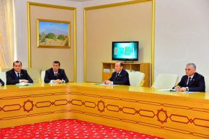 Konstitusion toparyň ýanyndaky iş toparynyň maslahaty