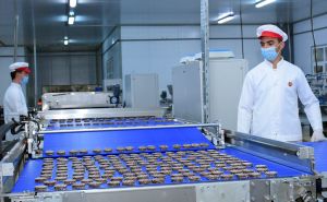 Mary şäherinde iki sany kärhananyň açylyş dabarasy boldy