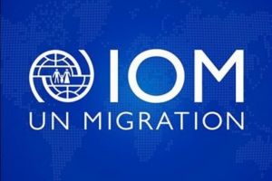 Migrasiýa boýunça halkara guramasy Türkmenistanyň jemgyýetçilik guramalarynyň wekilleri üçin trening geçirdi