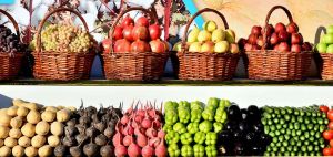 Obasenagat toplumy boýunça önümçiligiň umumy möçberiniň ösüşi 117,4 göterime deň boldy