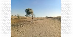 «Orta guşaklyk Turan çöllügi» boýunça resminama (nominasiýa dosýesi) toplumy taýýarlanýar