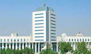 Professional tälimçileri we türgenleri taýýarlamak üçin ýöriteleşdirilen akademiýalar dörediler