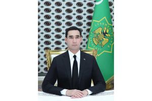 Sanly ulgam arkaly iş maslahaty