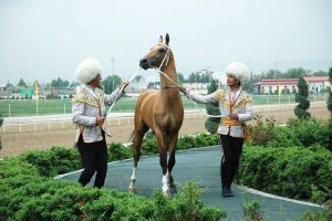 Türkmen bedewiniň milli baýramy mynasybetli geçirilýän çäreler